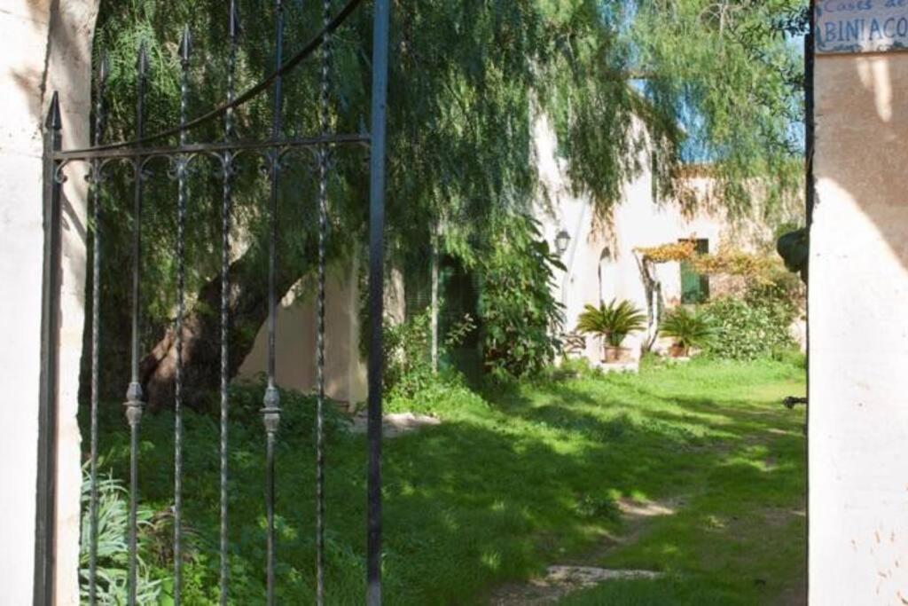 Villa Biniaco *